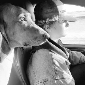 Meet your Posher, Blaze